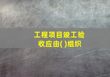 工程项目竣工验收应由( )组织